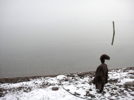 Stille Wasser