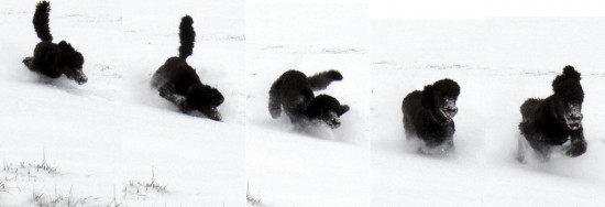 27_Schneepflug