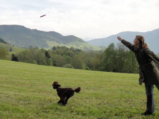 Zugerbergfrisbee