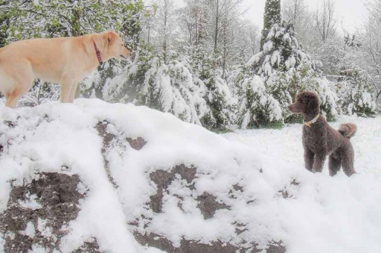 Samstag 20. April 2013 in Zug - SCHNEE