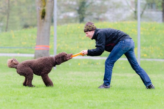 Frisbeezerring