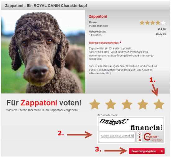 Deine Stimme für den Lump