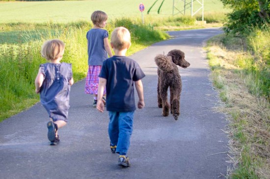 Die kleinen Strolche