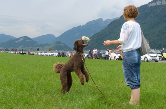 smart times 2013 in Buochs