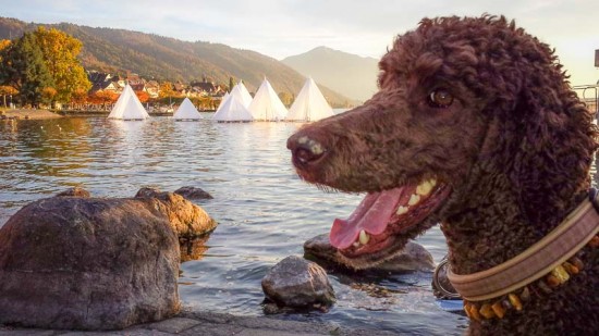 Kunst am Zugersee