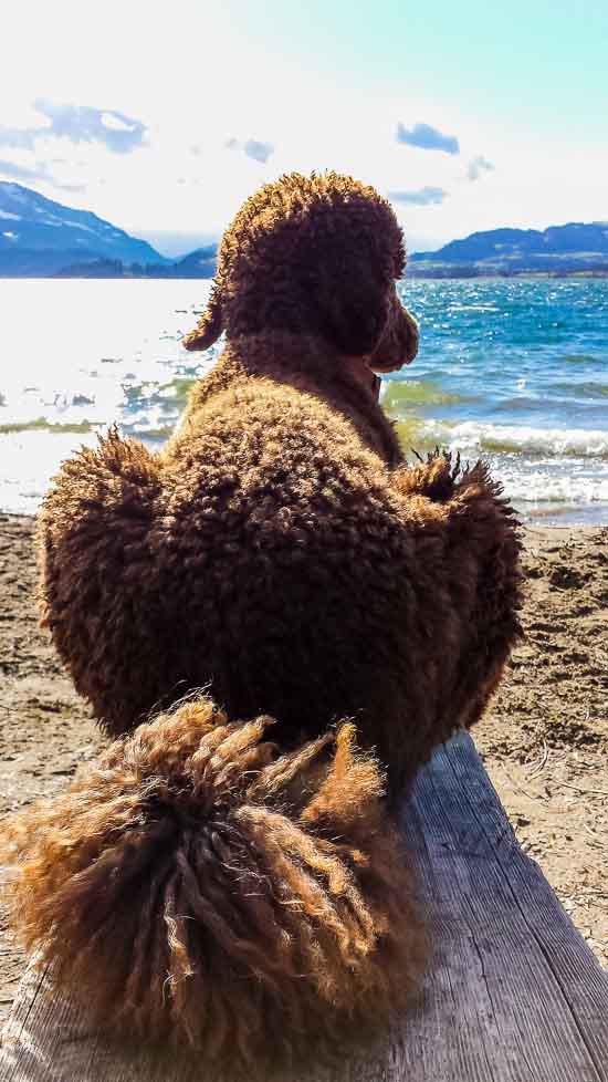 Beach bum