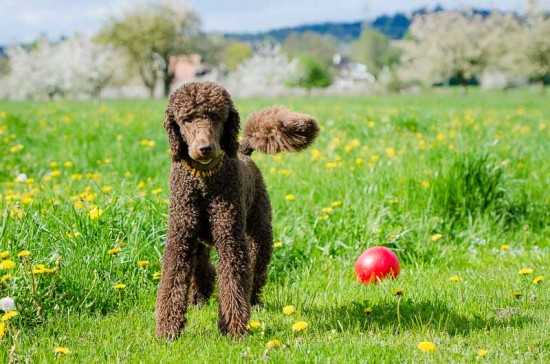 Toni proklamiert: Ostern ist vorbei