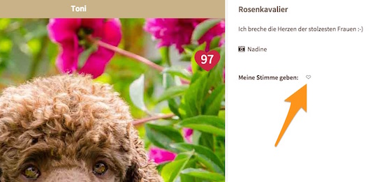 Dein Herz für Toni