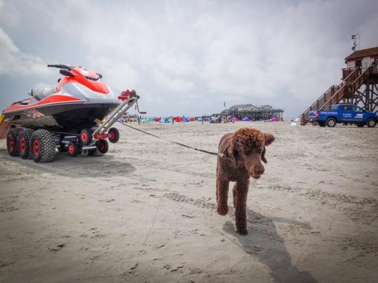 Baywatch