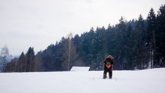 Mal wieder im Schnee
