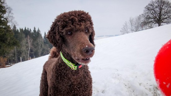 Toni-im-Schnee_4