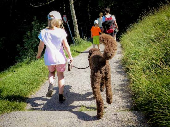 Hoch-das-Bein