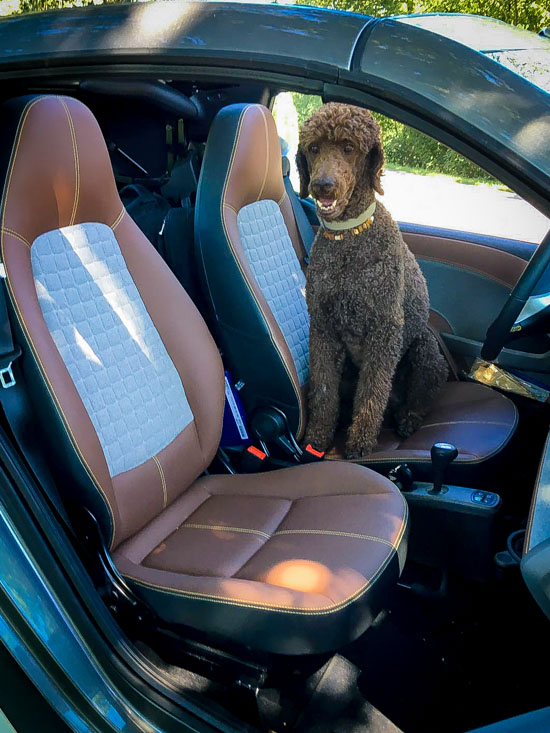 Smart Fahrer