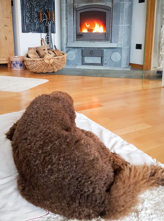 Kamin-TV